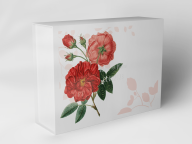 Boîte cadeau "fleurs et feuilles rouges"
