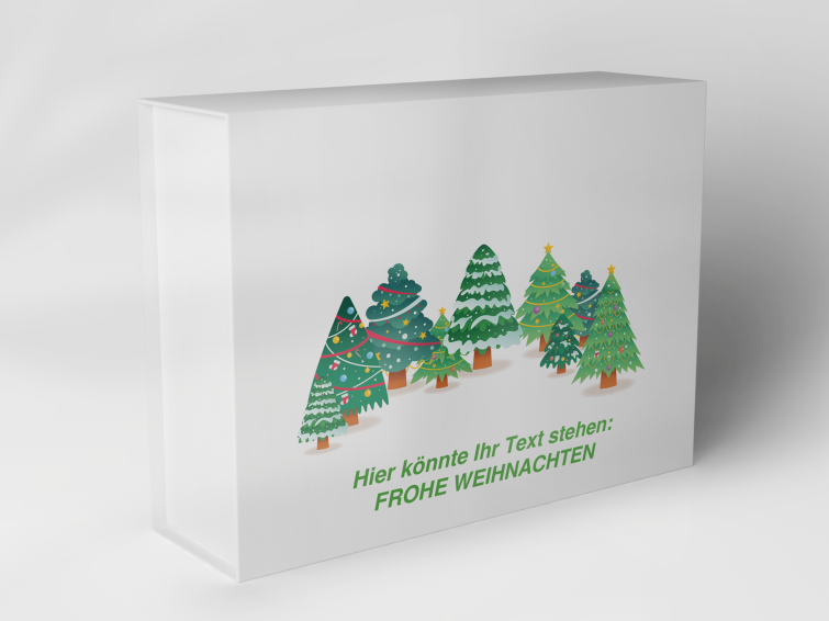 Boîte cadeau "Sapins de Noël" 1007_08_0008