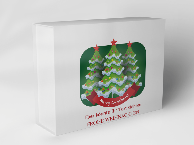 Boîte cadeau "sapin de Noël et étoiles" 1007_08_0028