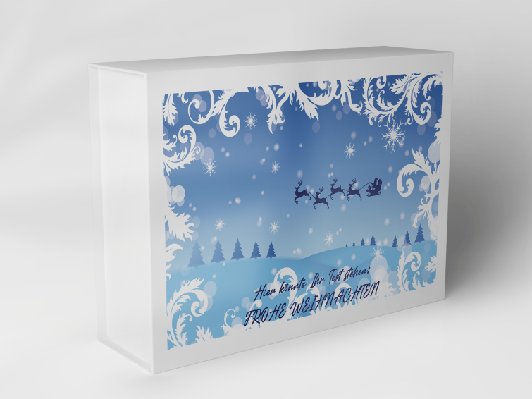 Boîte cadeau "Paysage de Noël avec des rennes" 1007_08_0047